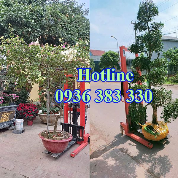 Xe nâng chậu cảnh-4